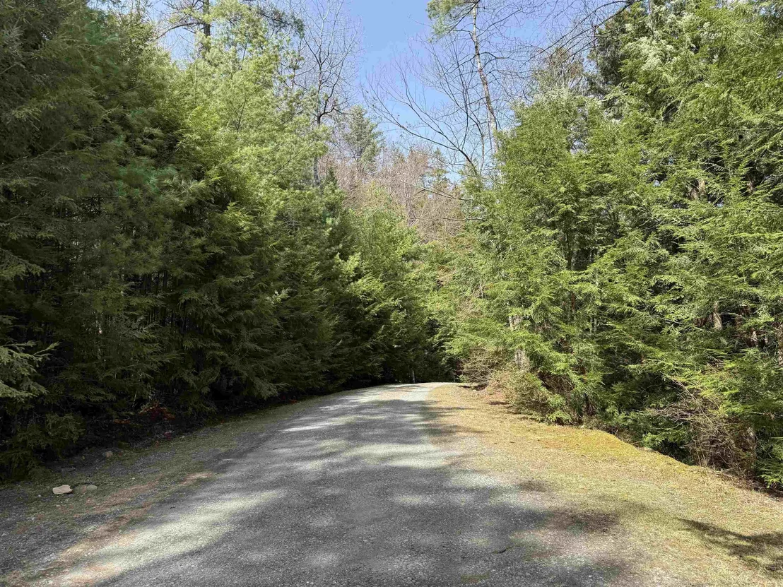 Photo of 37 Maple