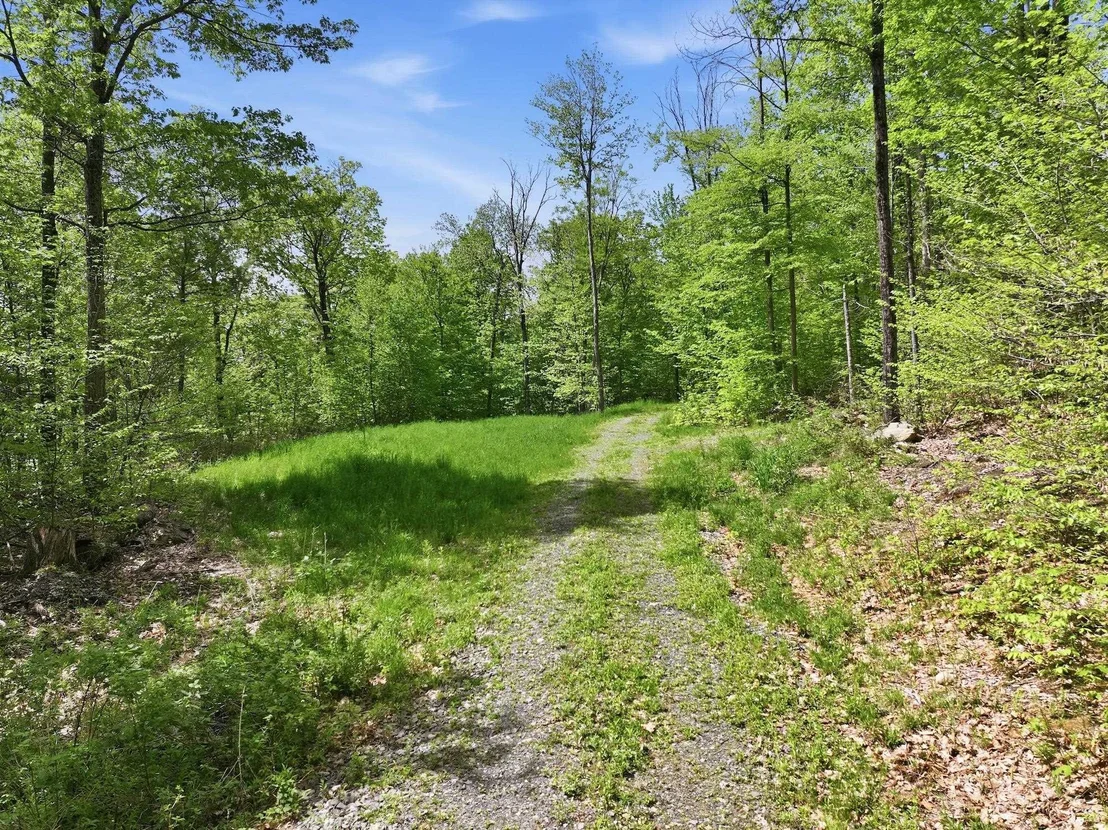 Photo of 189 Shagbark