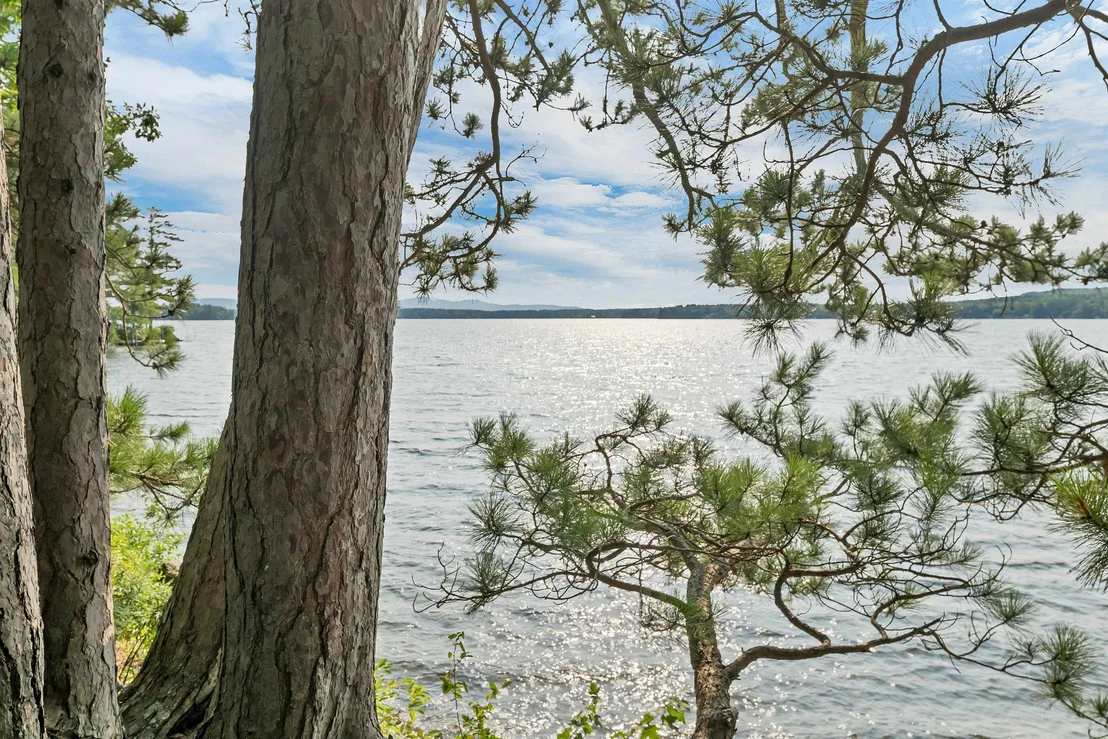 Photo of 11 Triggs