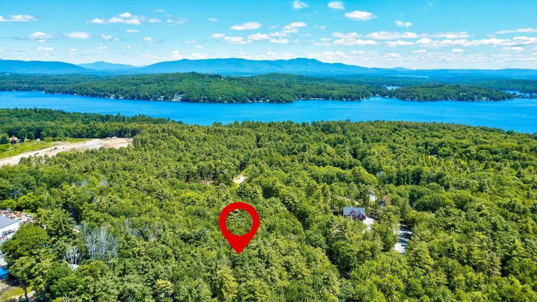 Photo of Lot 12-2 Needle Eye