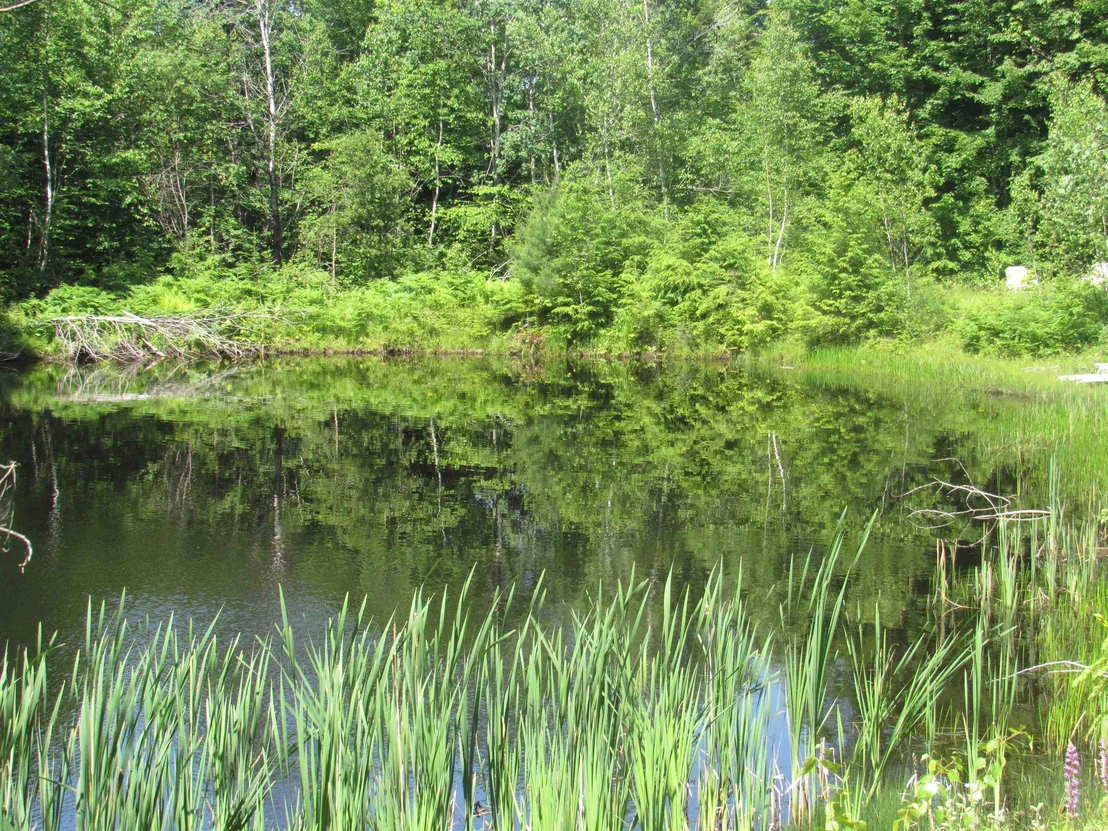 Photo of 1239 Baldwin Brook