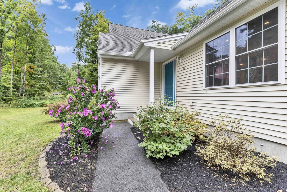 Photo of 12 Springvale