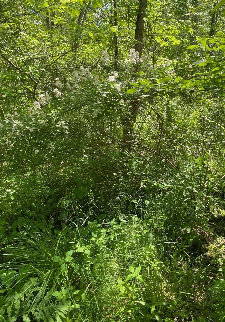 Photo of 00 Lovell