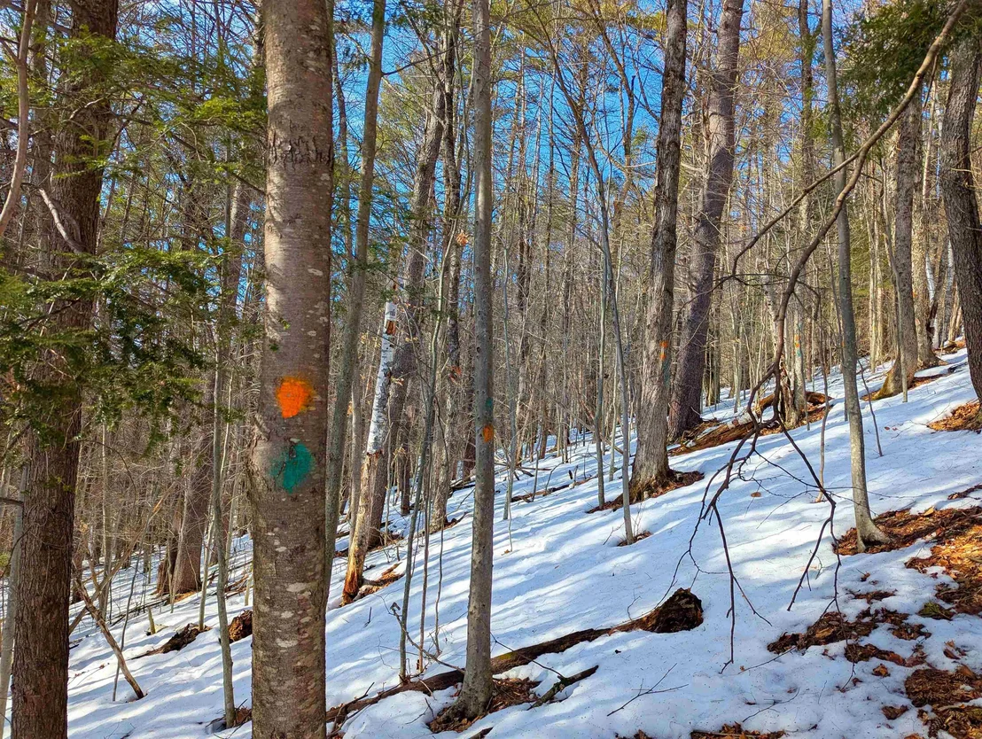 Photo of 0 Carpenter Hill