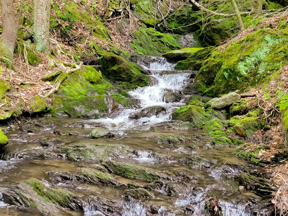 Photo of 167 High Meadow