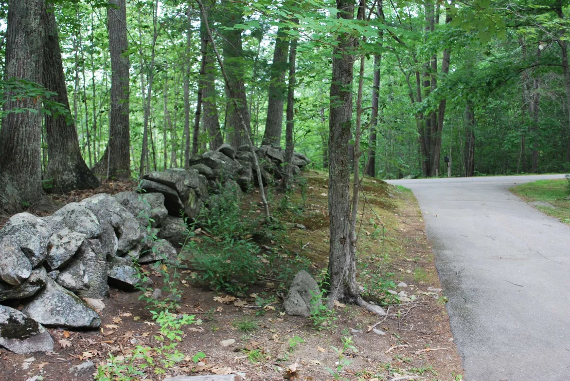 Photo of 16 Meserve