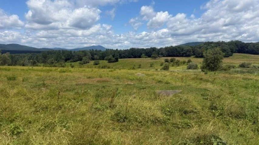 Photo of 264 grimes
