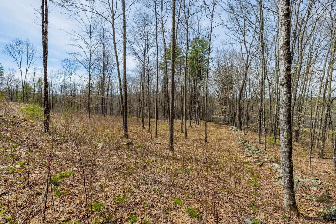Photo of 00 Olcott