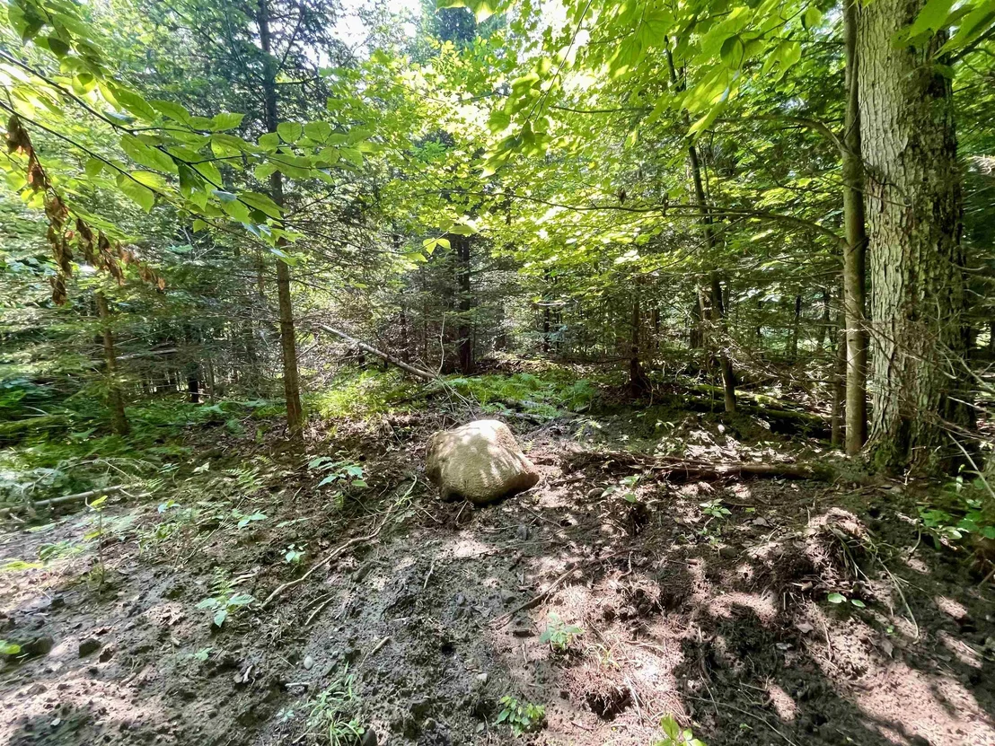 Photo of 00 Peene Hill