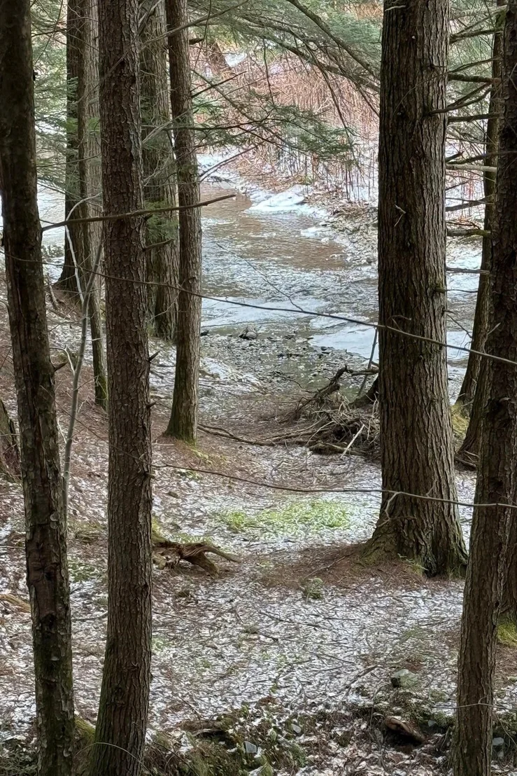Photo of 40 E Putney Brook