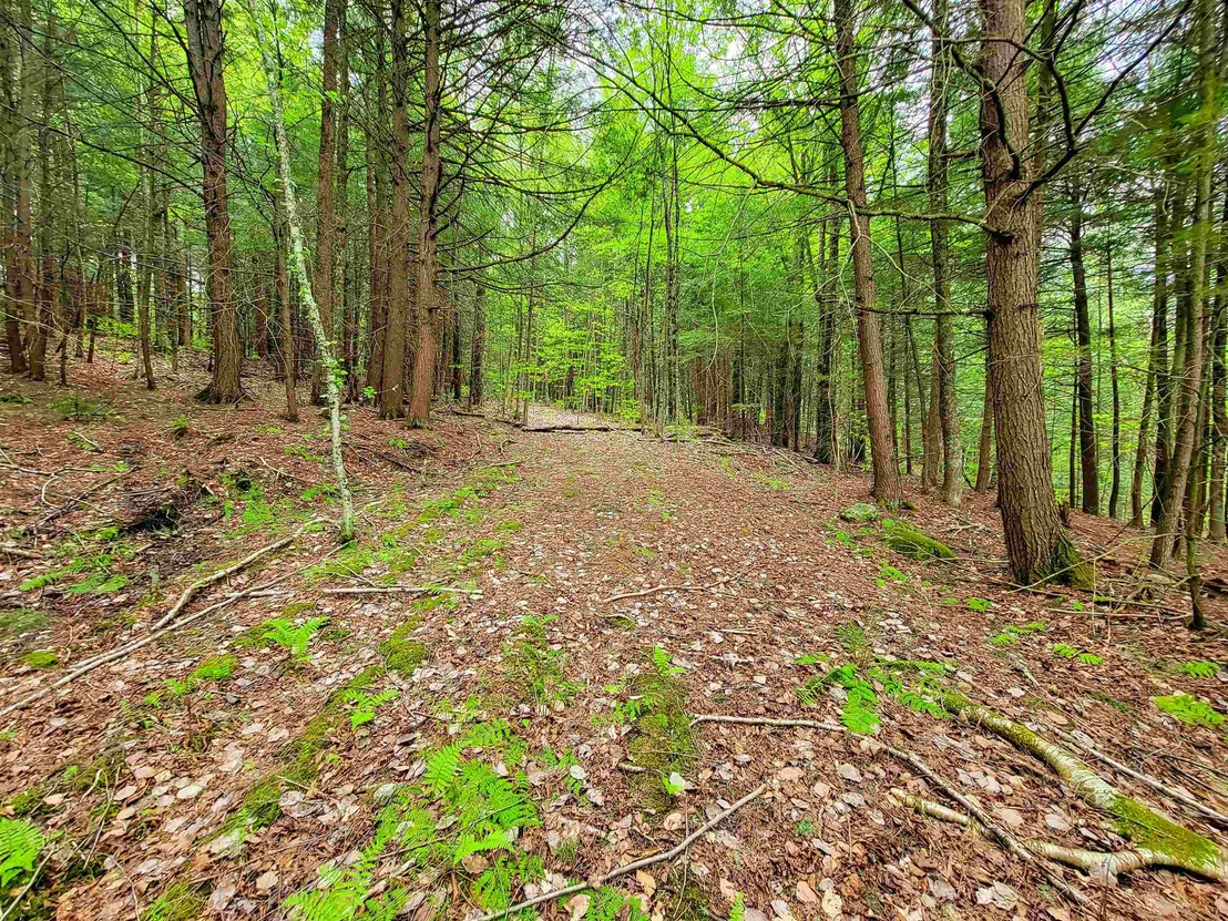 Photo of 167 High Meadow