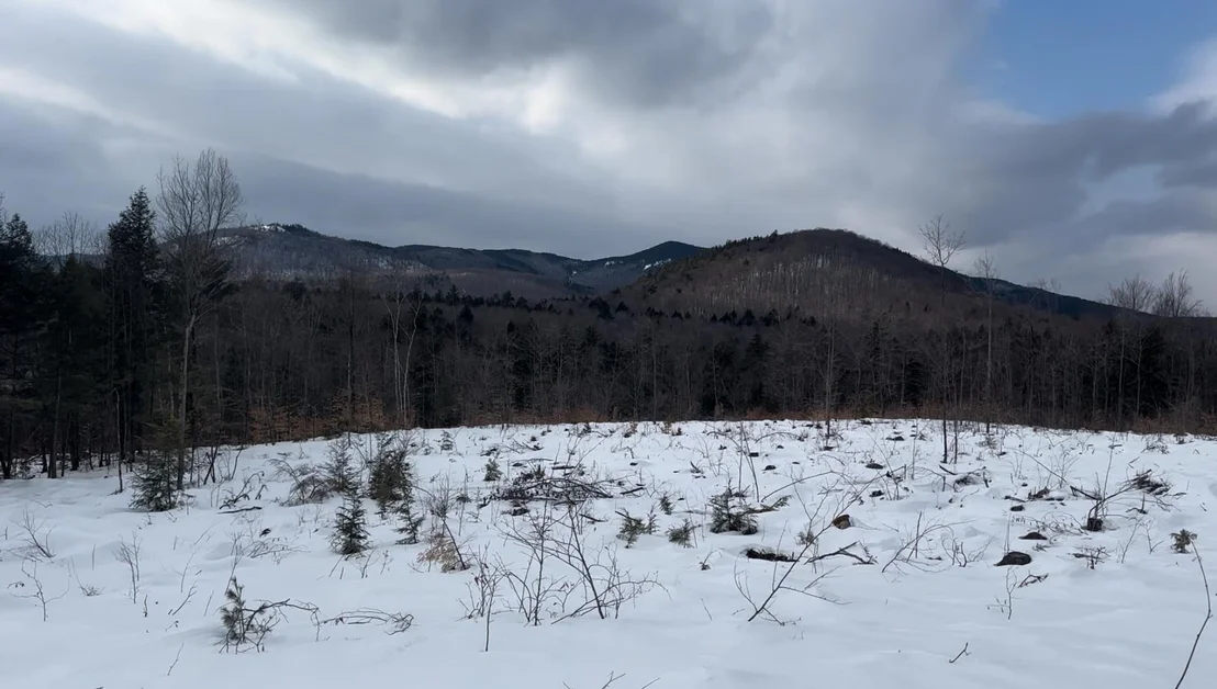Photo of 314 Ossipee Mountain