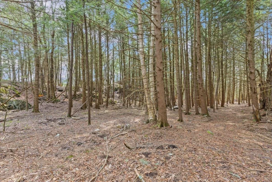 Photo of Lot 3 Hemlock
