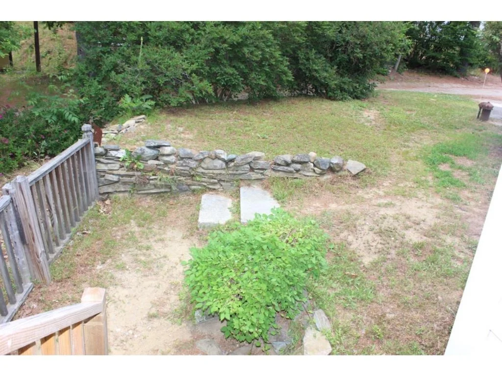Photo of 3 Juniper