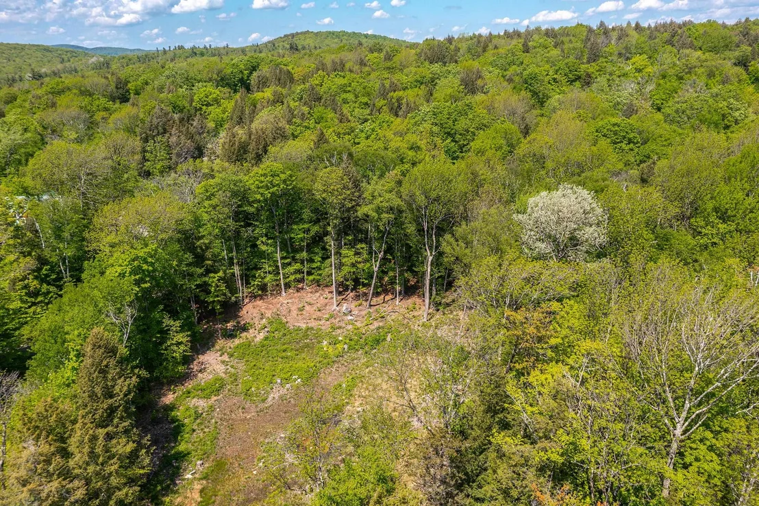Photo of 585 Sawmill