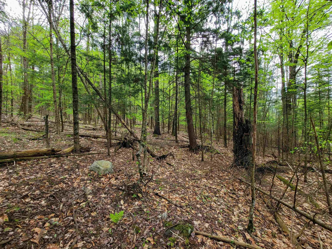 Photo of 720 Brookview