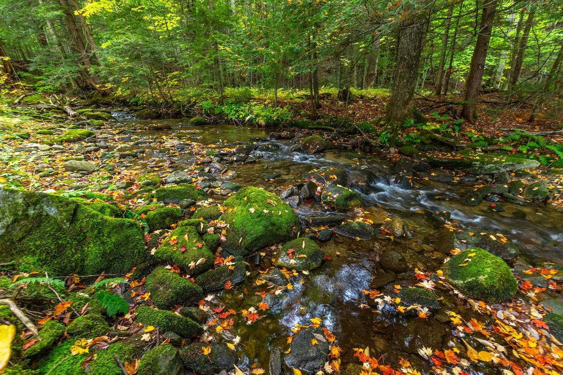 Photo of 628 Moss Brook