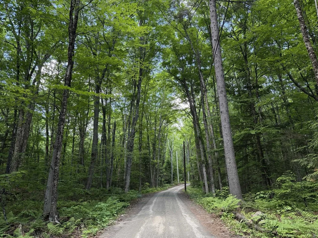 Photo of 78 Buzzell East