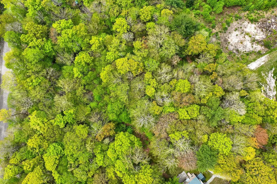 Photo of Unit LOT8 at 0 Doubleday Hill