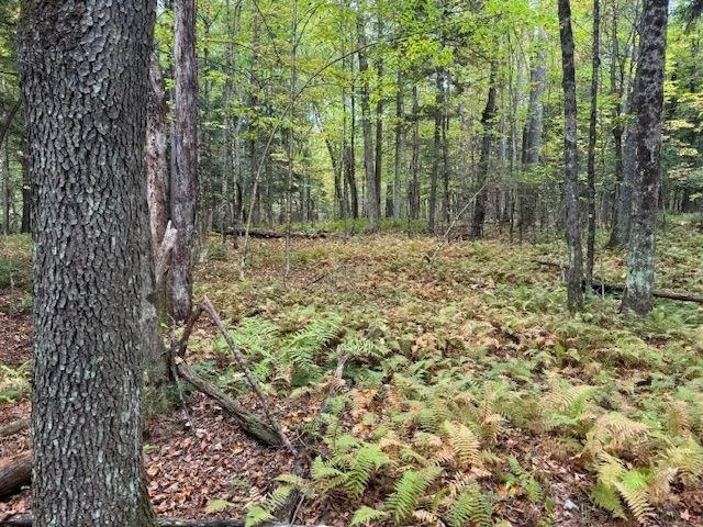 Photo of 843 River