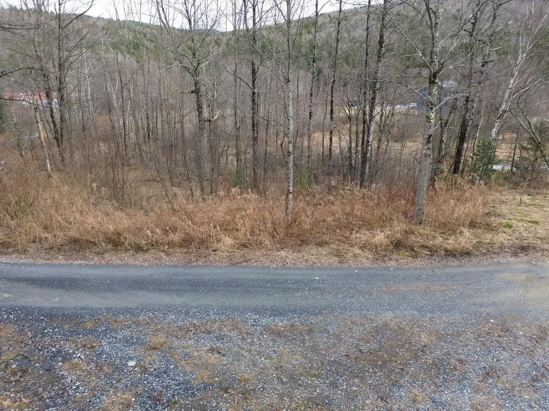 Photo of Unit 3 at 00 Bent Birch