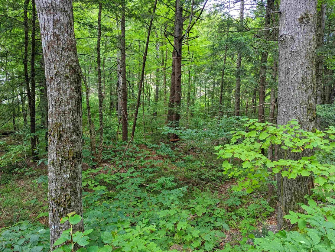 Photo of 0 Hunter Brook