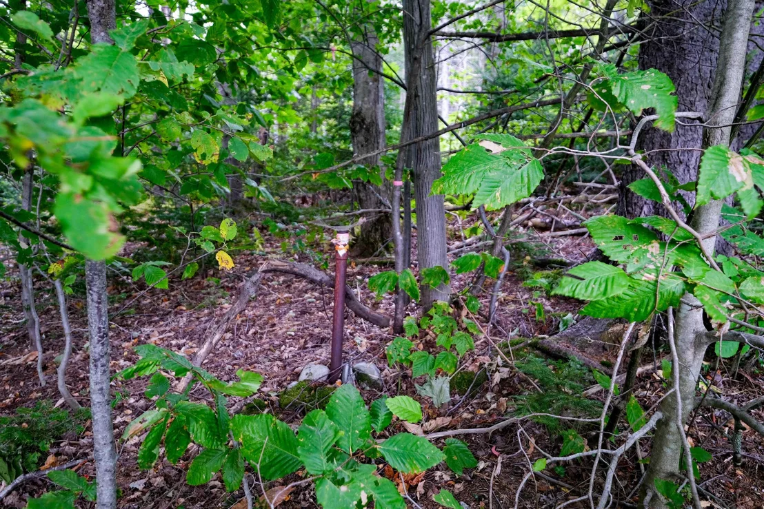 Photo of 00 Evergreen Acres