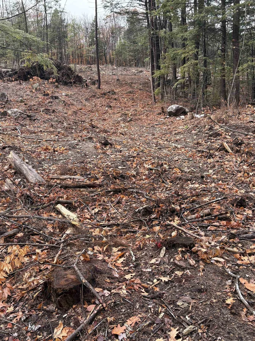 Photo of Unit 8 at 7 Sugarloaf