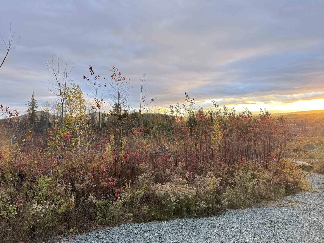 Photo of Lot 12 Page Hill