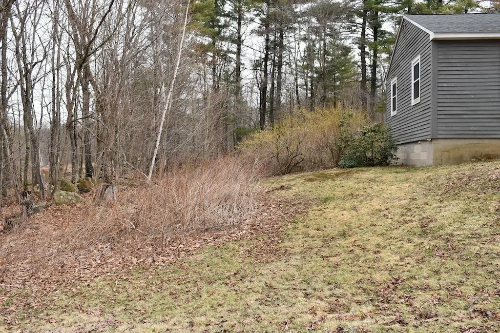 Photo of 133 Mount Delight