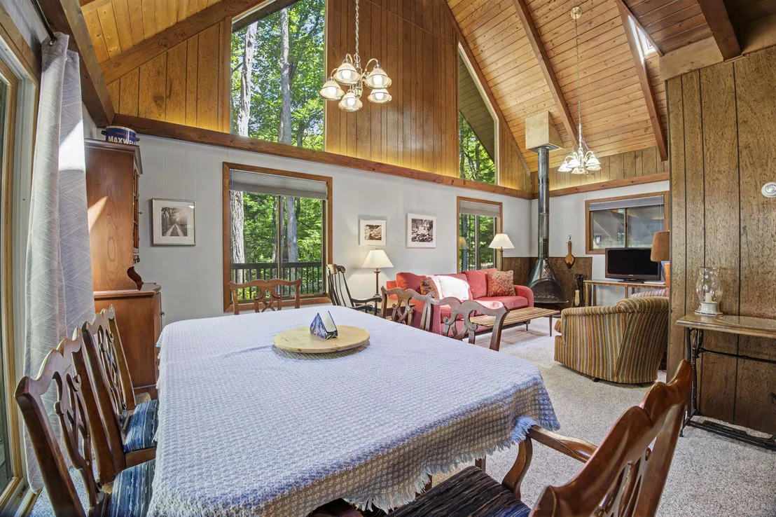 Photo of 101 Eidelweiss