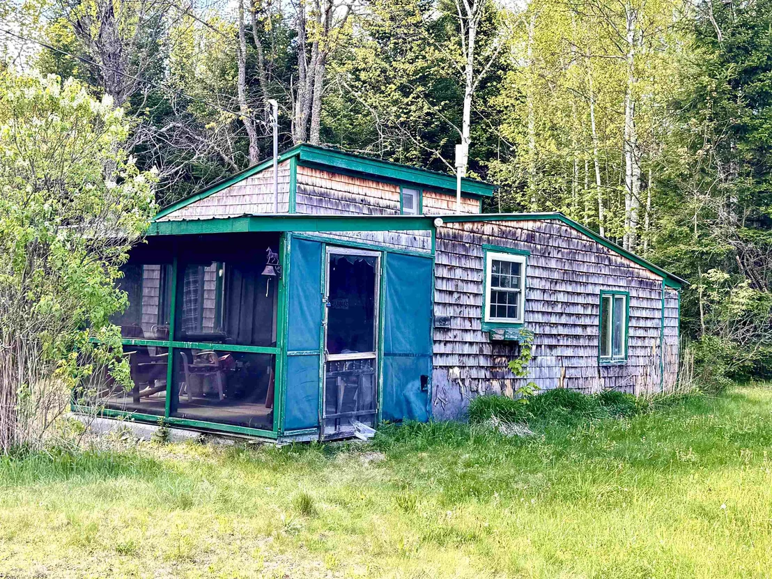 Photo of 63 Coos