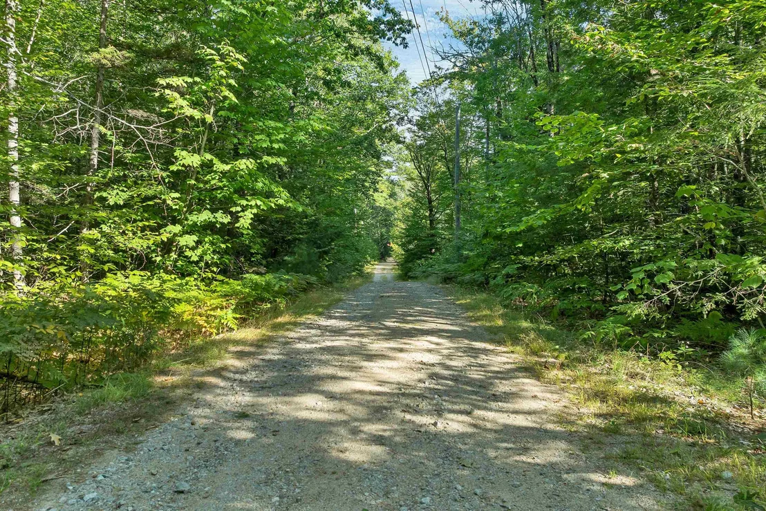 Photo of 9 Waldsbut