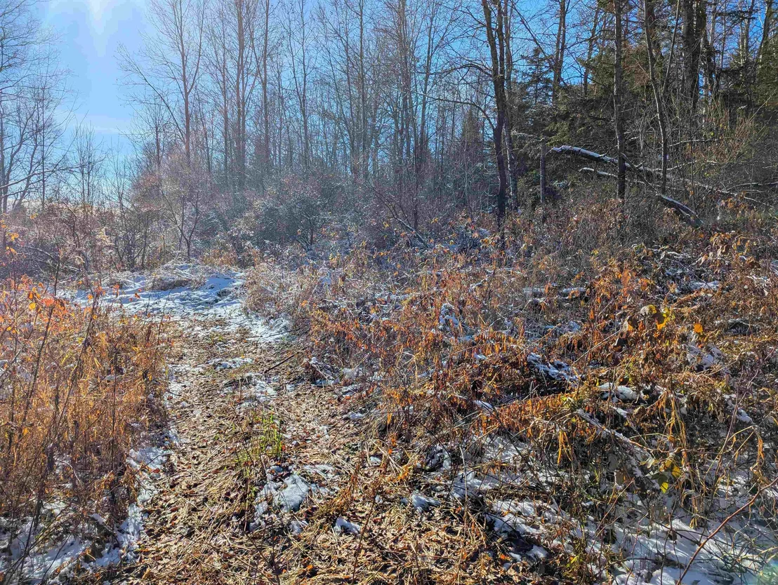 Photo of 00 Pudding Hill
