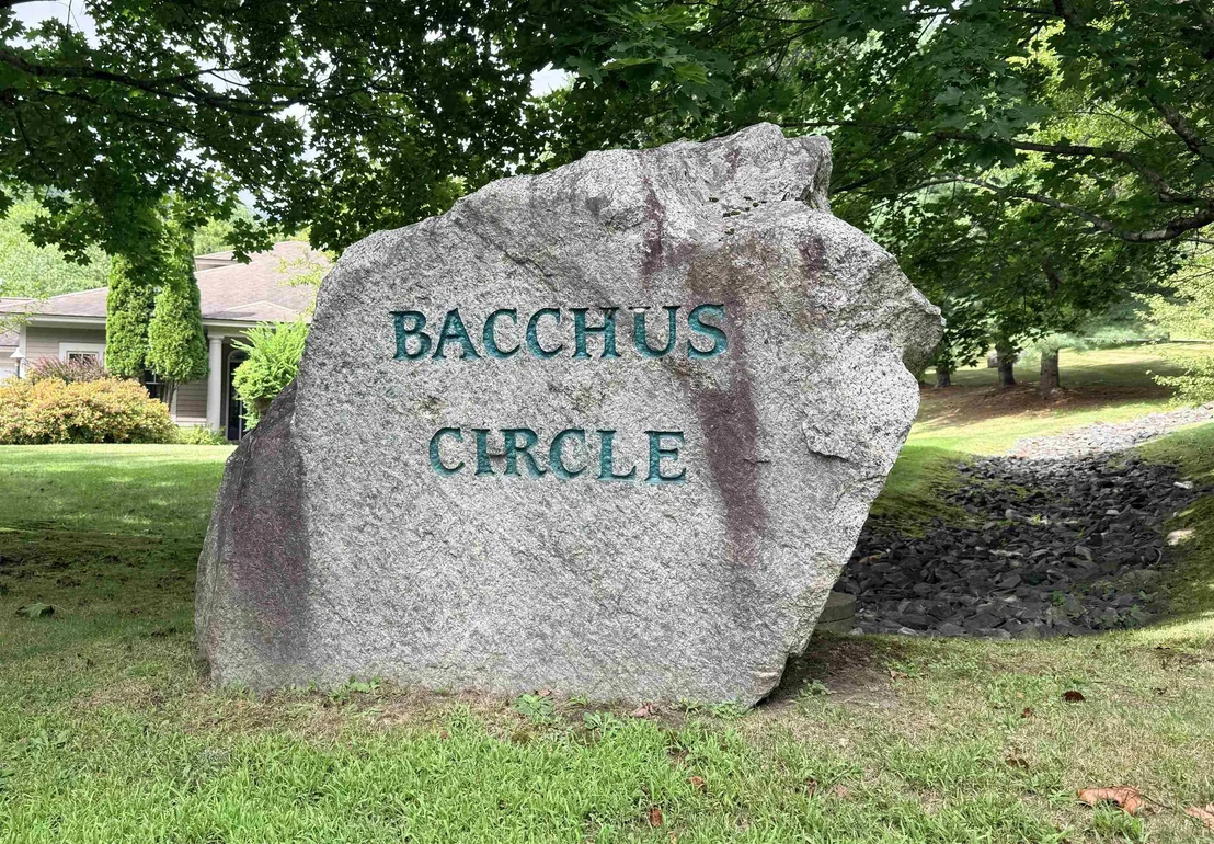 Photo of 5 Bacchus
