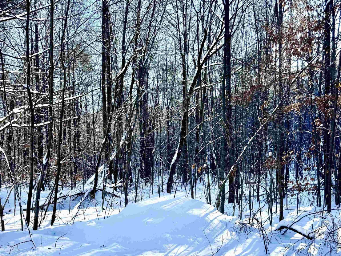 Photo of Unit 12 at US Route 302
