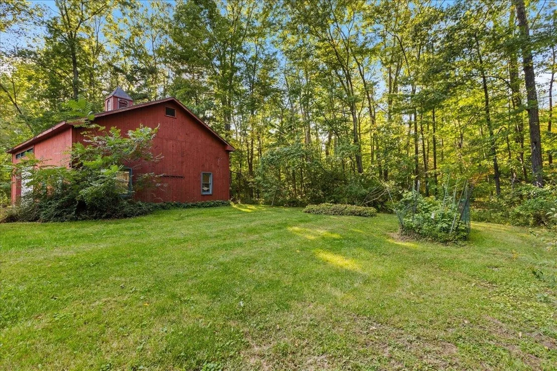 Photo of 8 Juniper
