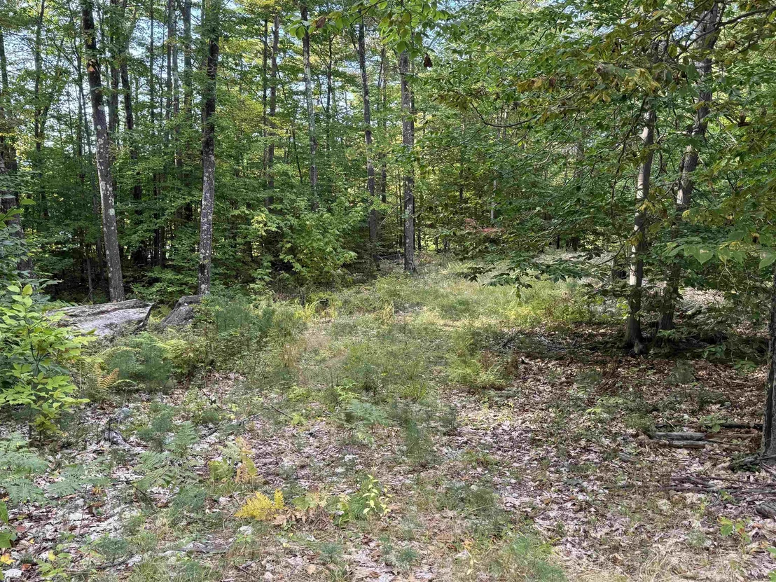 Photo of 26 Circuit