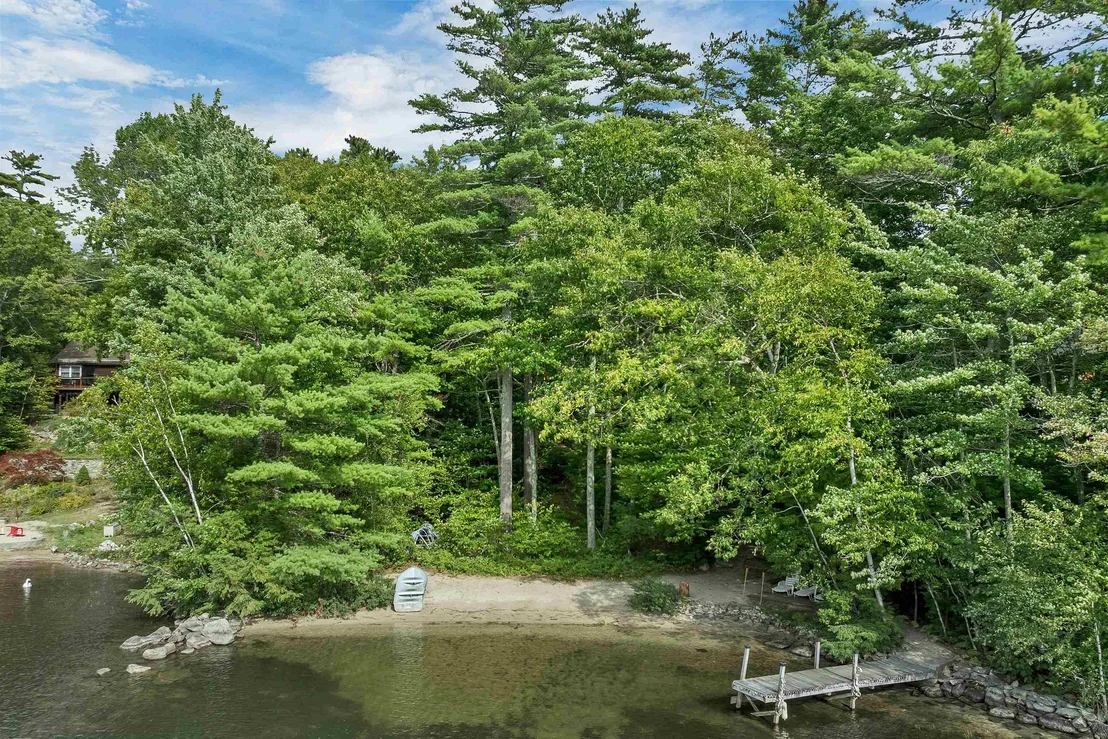 Photo of 49 Kings Pine