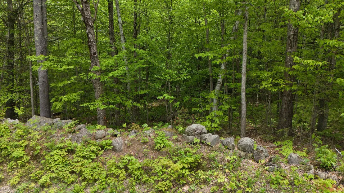 Photo of Lot 13 Beach Pond