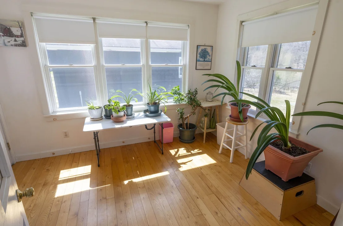 Photo of 246 Gray