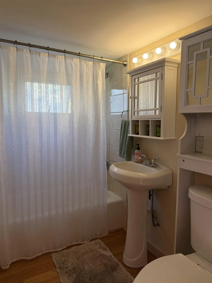 Photo of 2996 Leicester Whiting