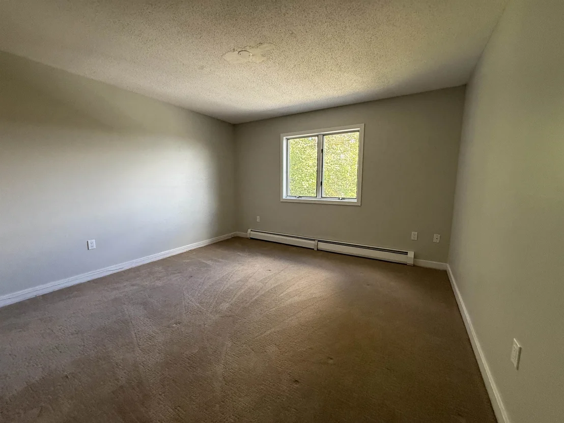 Photo of 58 Buckboard