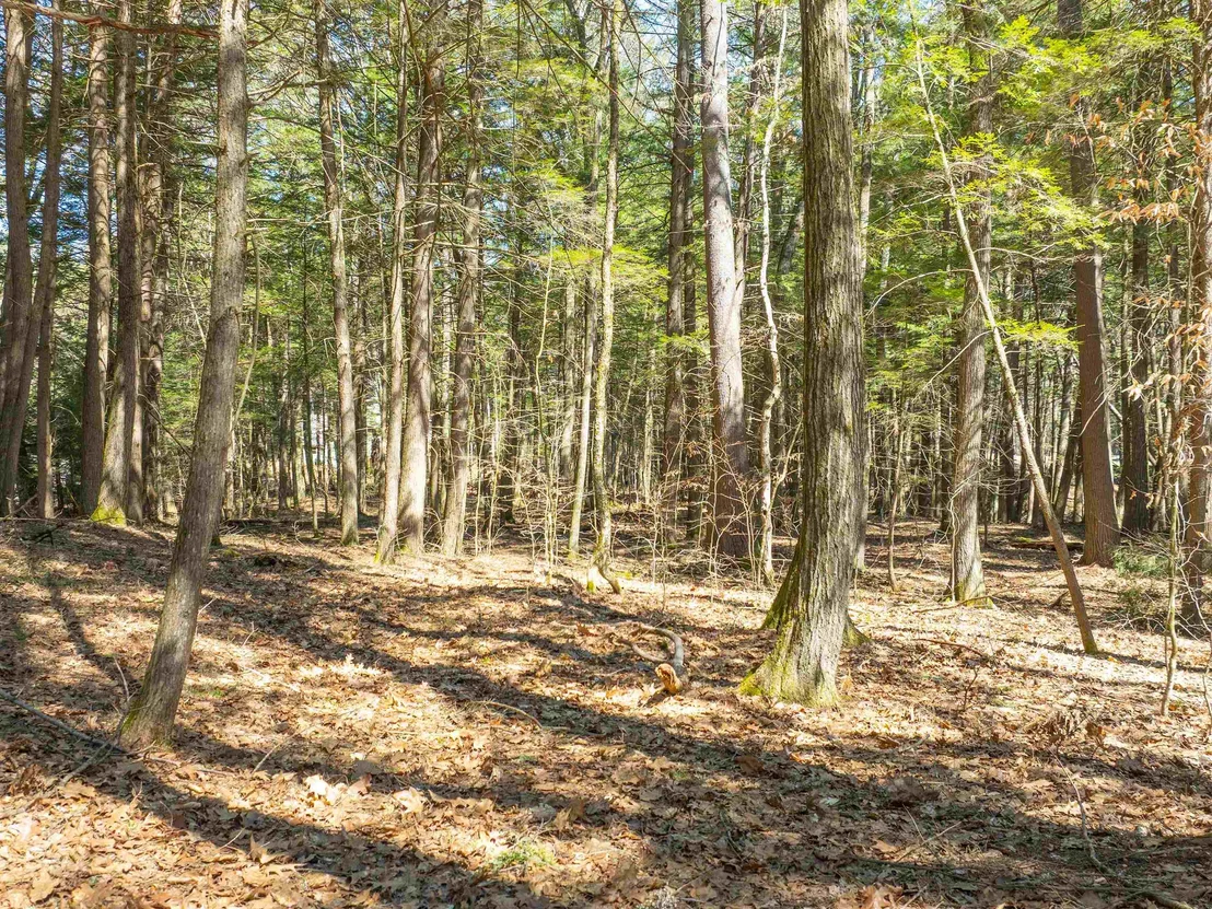 Photo of 00 Morrill Bend