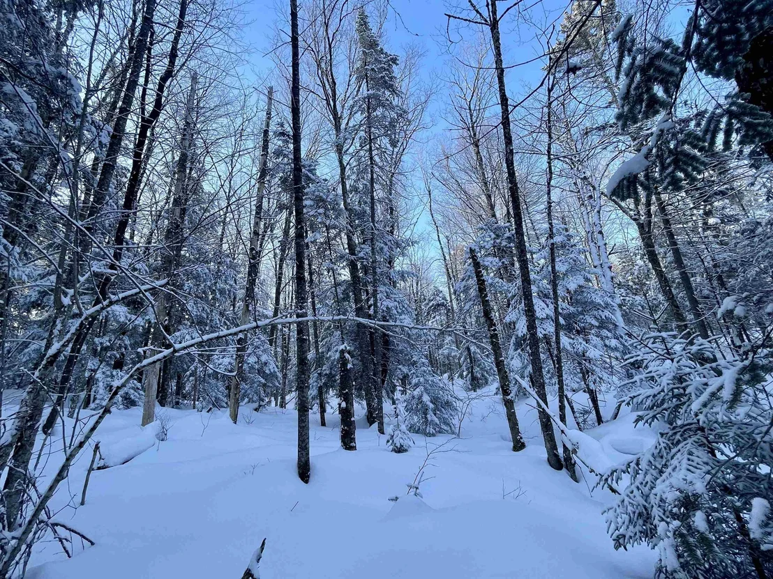 Photo of 00 Mountain