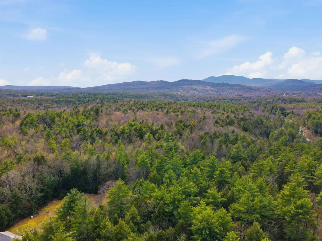 Photo of 10 Beech River
