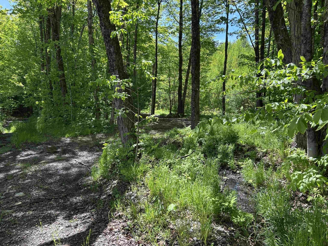 Photo of Lot 2 Pion