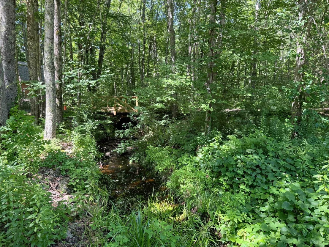 Photo of 6 Saddlepath