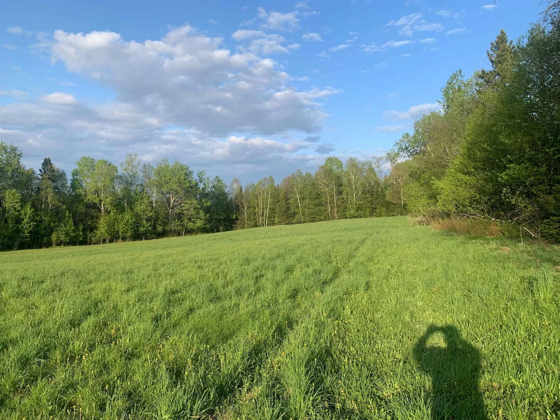 Photo of Lot 3 Titus Hill