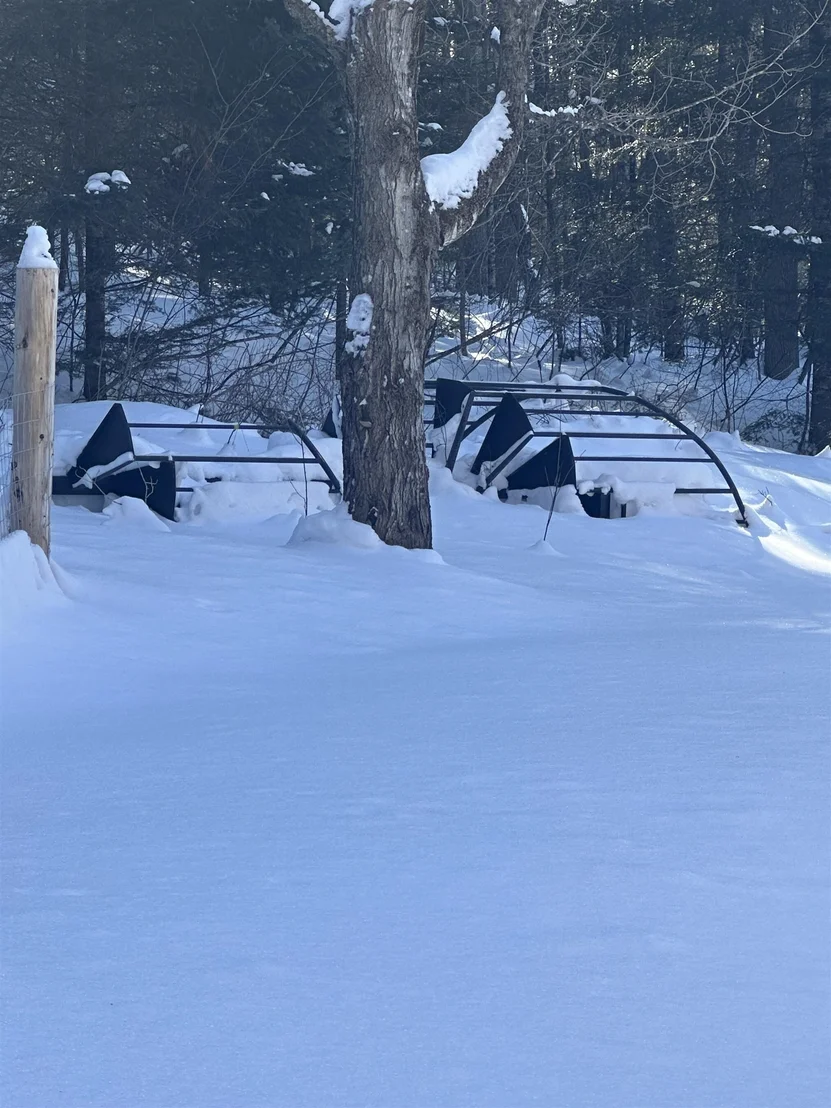 Photo of 9 Dry Pond